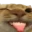 Leviathan Cheats